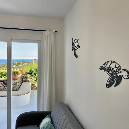 Ocean *