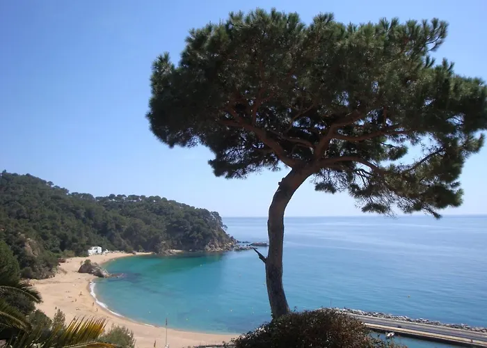 Lily Villa Lloret de Mar