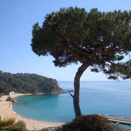 Lily Villa Lloret de Mar